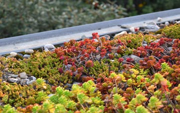 the cost of Oldways End green roof installation