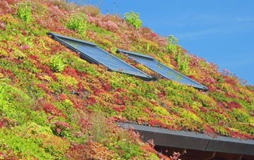 Oldways End living roof systems
